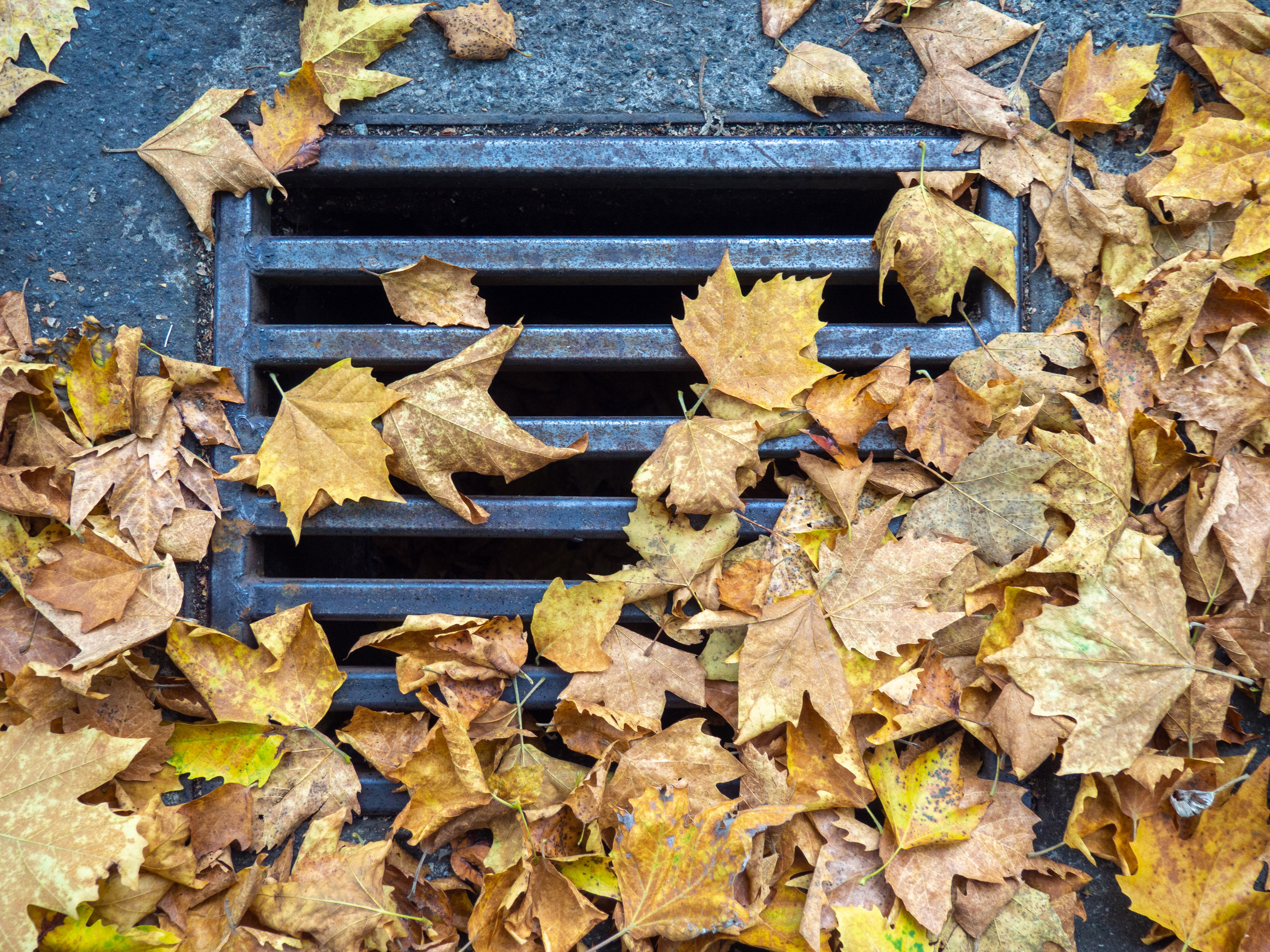 What to do if your outside drain is blocked